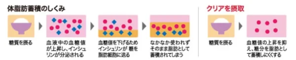 Clear　クリア - 画像 (4)